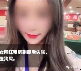 女网红叫李什么,网络红人的崛起与影响力