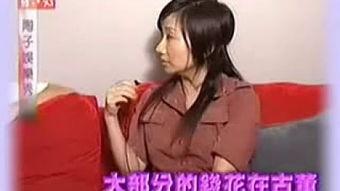 陶子娱乐秀